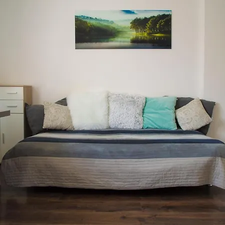 Beautiful With A Large Bed In A 3-room With Parking * Laibach